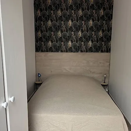 Apartment T2bis Proche Centre, 4-6 Pers, Parking - Fr-1-234-297